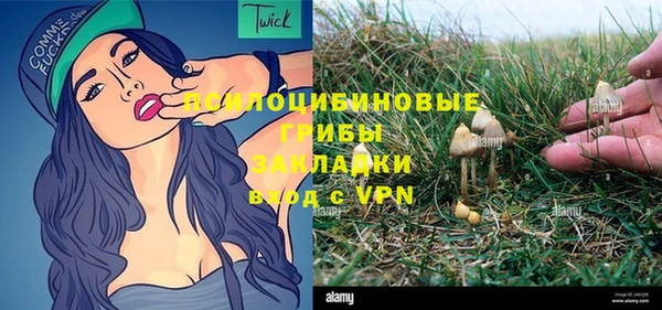 прущий лед Аркадак