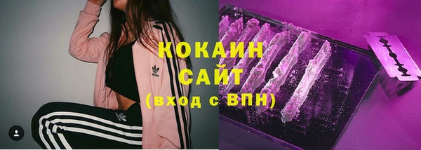 mdpv Арсеньев